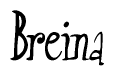 The image is of the word Breina stylized in a cursive script.