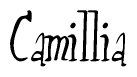 The image is of the word Camillia stylized in a cursive script.