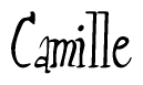 The image contains the word 'Camille' written in a cursive, stylized font.