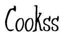 The image is of the word Cookss stylized in a cursive script.