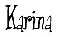 The image is a stylized text or script that reads 'Karina' in a cursive or calligraphic font.