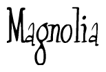 The image is a stylized text or script that reads 'Magnolia' in a cursive or calligraphic font.