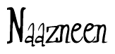 The image is of the word Naazneen stylized in a cursive script.