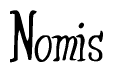The image is of the word Nomis stylized in a cursive script.