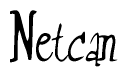 The image contains the word 'Netcan' written in a cursive, stylized font.