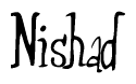 The image is a stylized text or script that reads 'Nishad' in a cursive or calligraphic font.