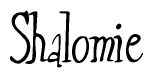 The image is of the word Shalomie stylized in a cursive script.
