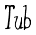 The image is a stylized text or script that reads 'Tub' in a cursive or calligraphic font.