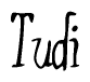 The image contains the word 'Tudi' written in a cursive, stylized font.