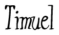 The image contains the word 'Timuel' written in a cursive, stylized font.