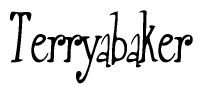 The image contains the word 'Terryabaker' written in a cursive, stylized font.