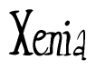 The image is a stylized text or script that reads 'Xenia' in a cursive or calligraphic font.