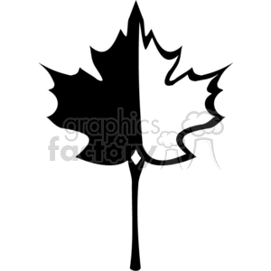 Maple leaf clipart. Royalty-free image # 371862