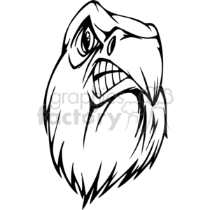 vector vinyl+ready black+white mad anger angry mean eagle eagles head face faces heads logo logos design tattoo tattoos grumpy