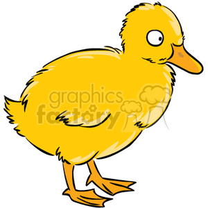 Baby duck duckling clipart. Commercial use image # 377048