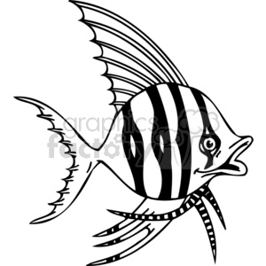 stripe angel fish in black and white clipart. Commercial use image # 377443