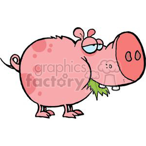 Cartoon Character Pig Chewing Grass clipart. Commercial use image # 379319