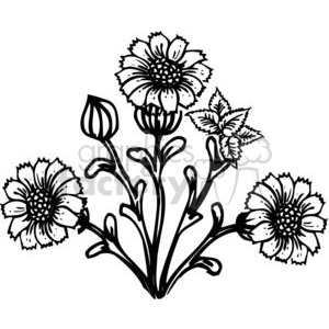 vinyl-ready vector black white flower flowers floral nature organic design designs elements