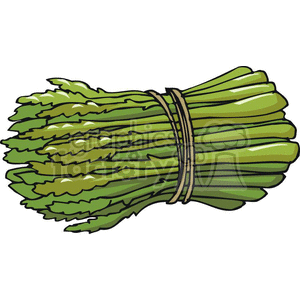 asparagus clipart. Royalty-free image # 383180