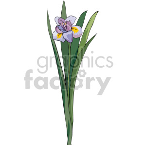 flower clipart. Royalty-free image # 151131