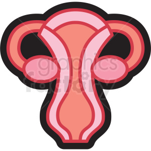 anatomy ovaries female