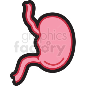 human stomach icon clipart. Royalty-free image # 410024