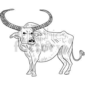 water buffalo black and white clipart clipart. Commercial use image # 414758