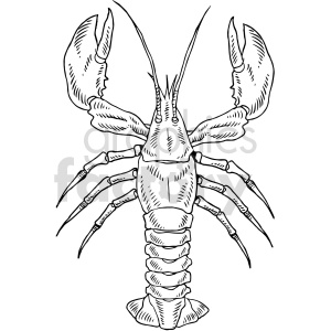 clipart - lobster black and white clipart.