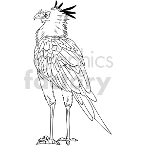 black and white secretarybird vector outline clipart clipart. Royalty-free image # 416154