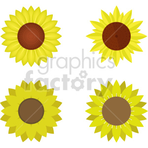 sunflower bundle vector graphic clipart. Royalty-free image # 417428