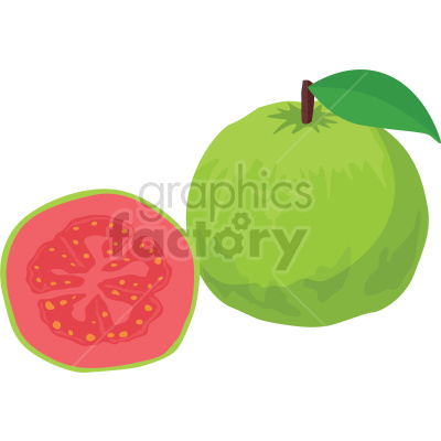 fruit guava