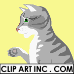 animated cat cleaning its paws clipart.