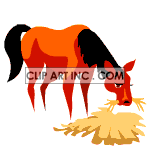 Animated horse eating hay clipart.