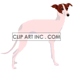   dog dogs greyhound greyhounds Animations 2D Entertainment scared pet pets