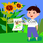 clipart - Animated little boy standing in the garden showing off his picture of sunflowers.