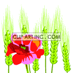   flower flowers  rastenia-019.gif Animations 2D Nature 