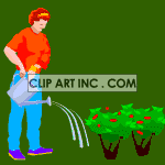   landscaping gardening bush water watering  landscaping005aa.gif Animations 2D People Landscaping 