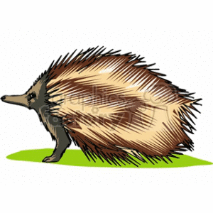 Porcupine clipart. Commercial use image # 128908