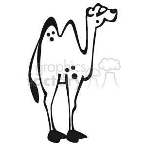 black and white camel clipart. Commercial use image # 129071