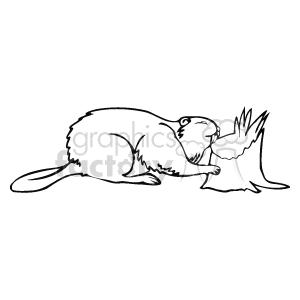 Anml065_bw clipart. Royalty-free image # 129191