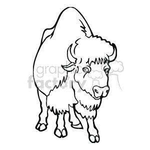 The line art illustration depicts a bison walking towards you. It is shown standing on grassy terrain, with a blue sky above
