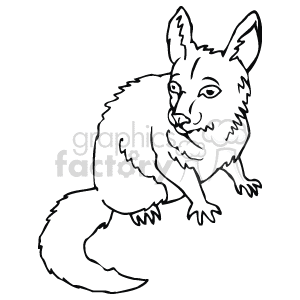 The line art image shows a chinchilla, which is a small mammal. The chinchilla is sitting on its hind legs and appears to be looking to the left of the image.