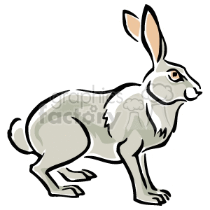  rabbit rabbits bunny bunnies   Anmls004C Clip Art Animals jack hare wild