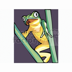 clipart - Green tree frog with yellow belly climbing on blades of grass.
