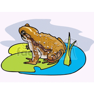 Warty toad sitting on a lily pad background. Commercial use background # 129806