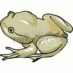 Full body profile of bullfrog clipart.