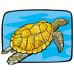 Marine sea turtle swimming in blue water clipart.