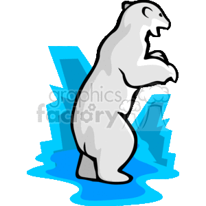Polar bear with back turned standing on hind legs clipart. Commercial use image # 130021
