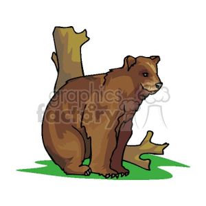 Brown bear sitting at base of a tree clipart.