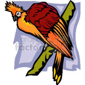 Vibrant colored tropical bird clipart. Royalty-free image # 130176